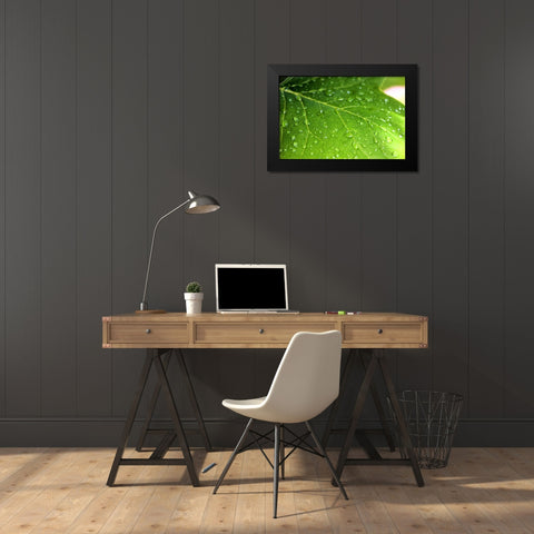 Leaves 1 Black Modern Wood Framed Art Print by Lee, Rachel