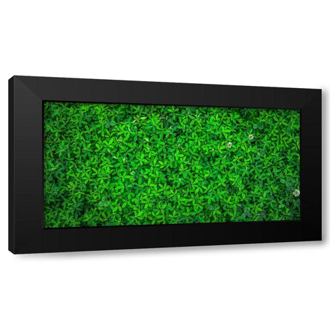 Leaves 10 Black Modern Wood Framed Art Print by Lee, Rachel