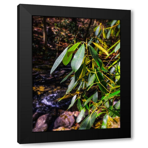 Leaves 18 Black Modern Wood Framed Art Print by Lee, Rachel