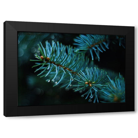 Leaves 20 Black Modern Wood Framed Art Print with Double Matting by Lee, Rachel