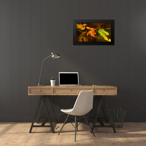 Leaves 21 Black Modern Wood Framed Art Print by Lee, Rachel