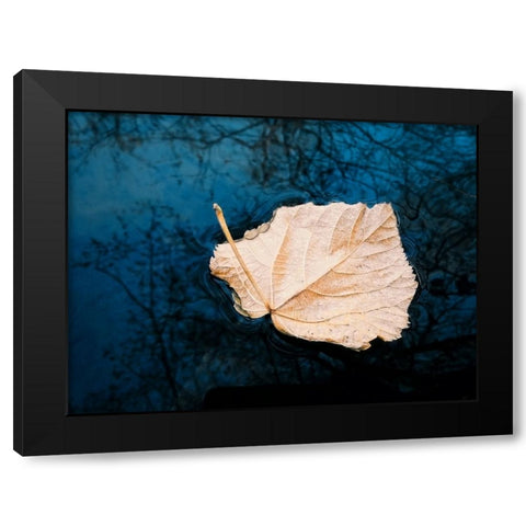 Leaves 3 Black Modern Wood Framed Art Print by Lee, Rachel