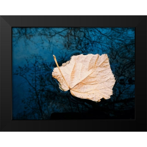 Leaves 3 Black Modern Wood Framed Art Print by Lee, Rachel