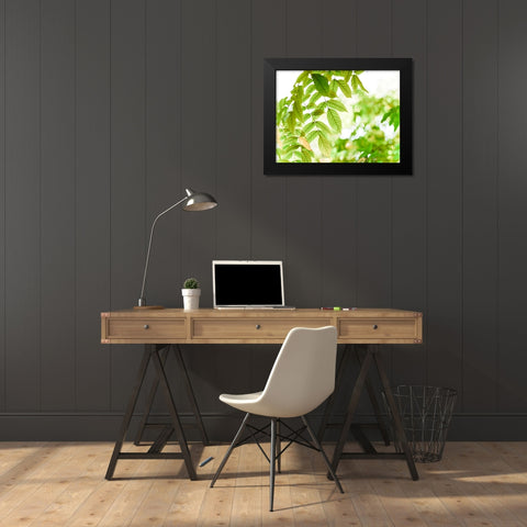 Leaves 4 Black Modern Wood Framed Art Print by Lee, Rachel