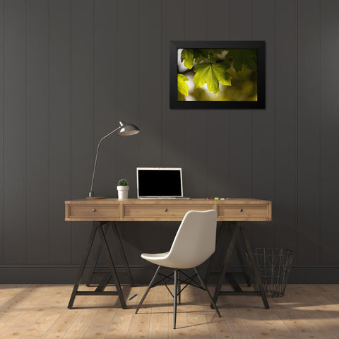 Leaves 5 Black Modern Wood Framed Art Print by Lee, Rachel