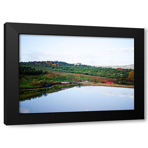 Merciers Orchard Black Modern Wood Framed Art Print by Lee, Rachel