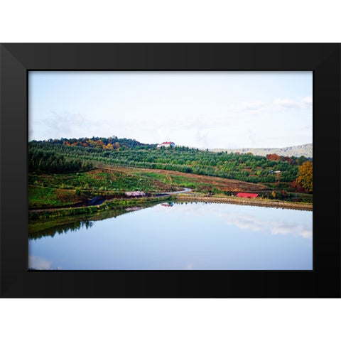 Merciers Orchard Black Modern Wood Framed Art Print by Lee, Rachel