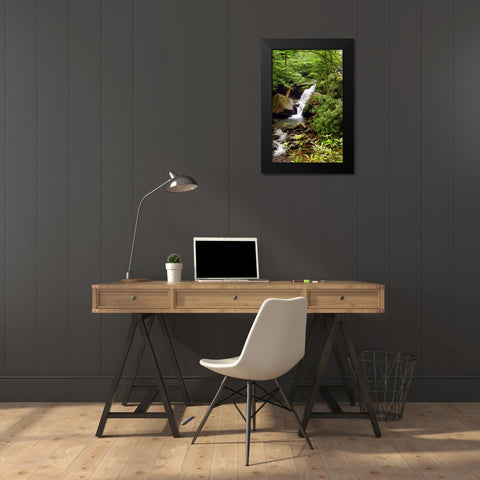 Mountain Laurel and Falls Black Modern Wood Framed Art Print by Lee, Rachel