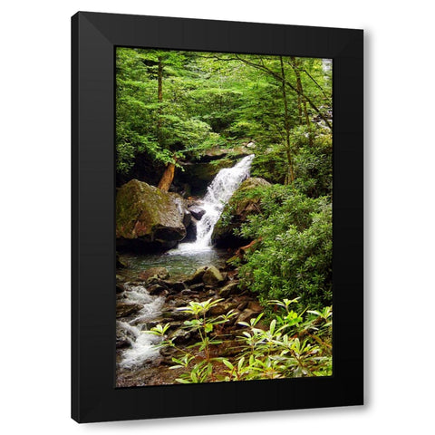 Mountain Laurel and Falls Black Modern Wood Framed Art Print with Double Matting by Lee, Rachel