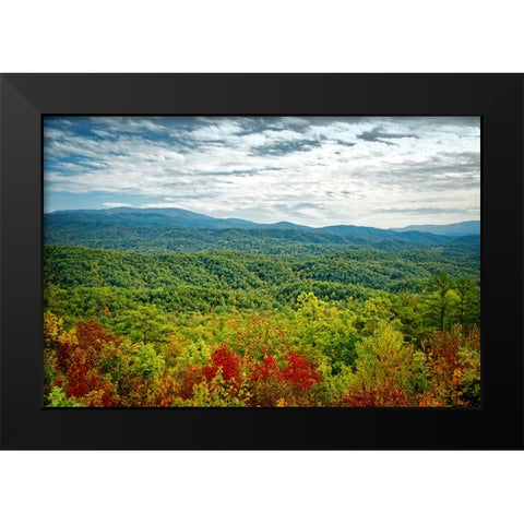 Mountain View 23 Black Modern Wood Framed Art Print by Lee, Rachel