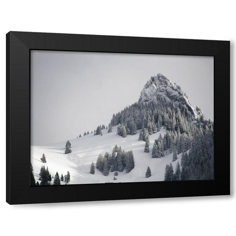 Mountain View 38 Black Modern Wood Framed Art Print by Lee, Rachel