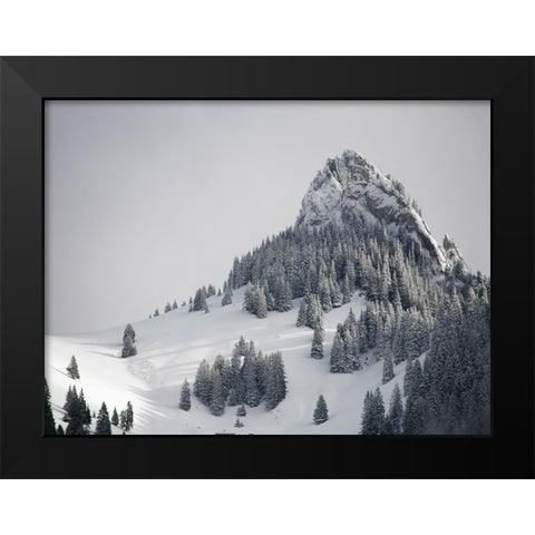 Mountain View 38 Black Modern Wood Framed Art Print by Lee, Rachel