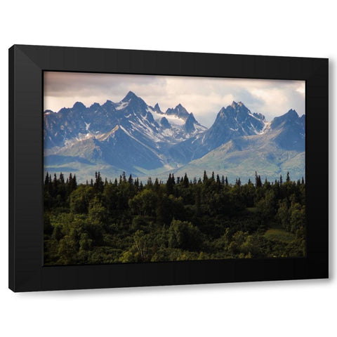 Mountain View 44 Black Modern Wood Framed Art Print by Lee, Rachel