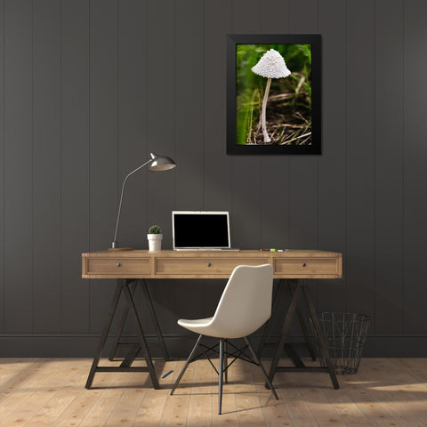 Mushroom 1 Black Modern Wood Framed Art Print by Lee, Rachel