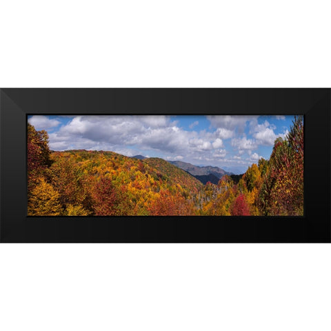 NC Fall Mountains 5 Black Modern Wood Framed Art Print by Lee, Rachel