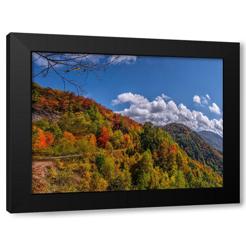 NC Fall Mountains 6 Black Modern Wood Framed Art Print with Double Matting by Lee, Rachel
