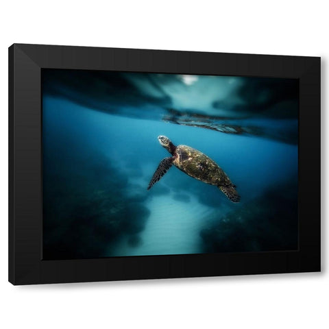 Ocean 42 Black Modern Wood Framed Art Print with Double Matting by Lee, Rachel