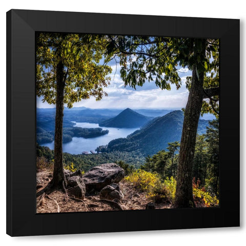 Ocoee View Black Modern Wood Framed Art Print by Lee, Rachel