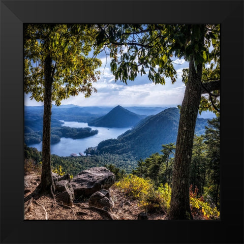 Ocoee View Black Modern Wood Framed Art Print by Lee, Rachel