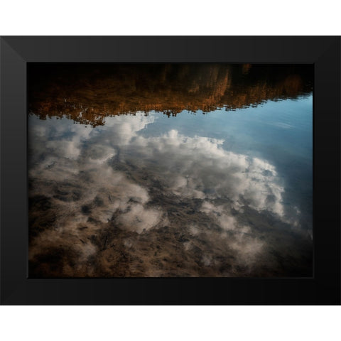 On Golden Pond Black Modern Wood Framed Art Print by Lee, Rachel