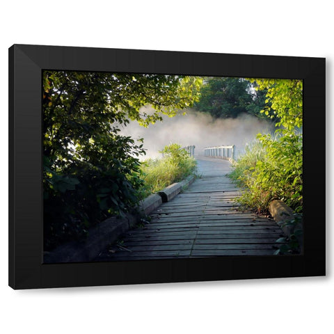Pathway 3 Black Modern Wood Framed Art Print by Lee, Rachel