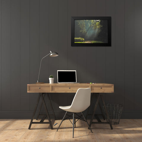Pathway 4 Black Modern Wood Framed Art Print by Lee, Rachel
