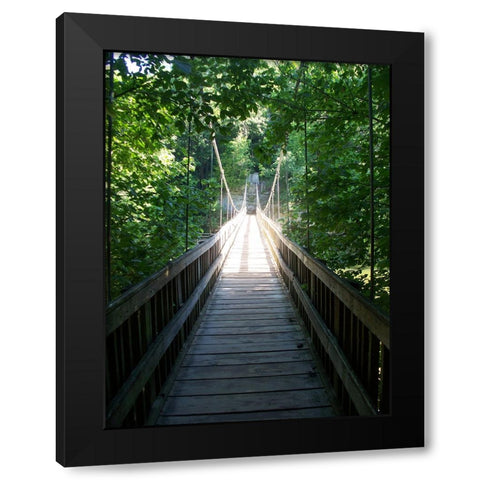 Pathway 6 Black Modern Wood Framed Art Print with Double Matting by Lee, Rachel