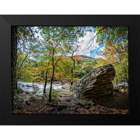 Pocket Wilderness 2 Black Modern Wood Framed Art Print by Lee, Rachel