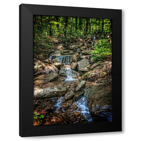 Pocket Wilderness 3 Black Modern Wood Framed Art Print with Double Matting by Lee, Rachel