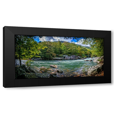 Pocket Wilderness 4 Black Modern Wood Framed Art Print with Double Matting by Lee, Rachel
