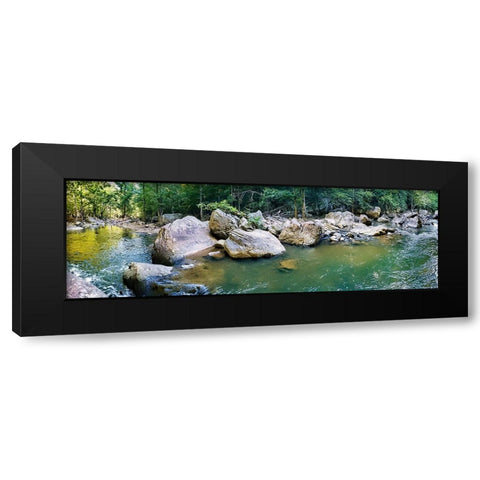 Pocket Wilderness Dayton 1 Black Modern Wood Framed Art Print by Lee, Rachel