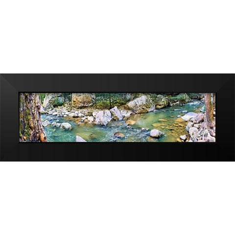 Pocket Wilderness Dayton 2 Black Modern Wood Framed Art Print by Lee, Rachel