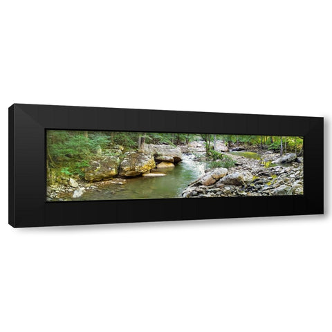 Pocket Wilderness Dayton 3 Black Modern Wood Framed Art Print with Double Matting by Lee, Rachel