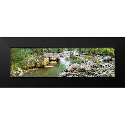 Pocket Wilderness Dayton 3 Black Modern Wood Framed Art Print by Lee, Rachel