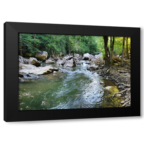 Pocket Wilderness Dayton 4 Black Modern Wood Framed Art Print by Lee, Rachel