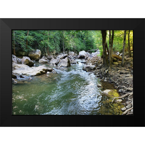 Pocket Wilderness Dayton 4 Black Modern Wood Framed Art Print by Lee, Rachel