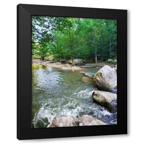 Pocket Wilderness Dayton 5 Black Modern Wood Framed Art Print with Double Matting by Lee, Rachel