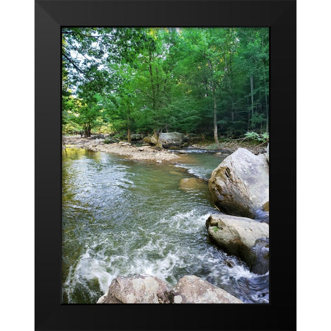 Pocket Wilderness Dayton 5 Black Modern Wood Framed Art Print by Lee, Rachel