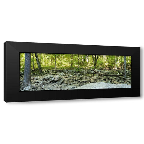 Pocket Wilderness Dayton 6 Black Modern Wood Framed Art Print by Lee, Rachel