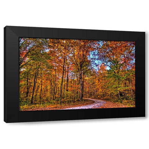 Prentice Main Road Sunset Black Modern Wood Framed Art Print by Lee, Rachel