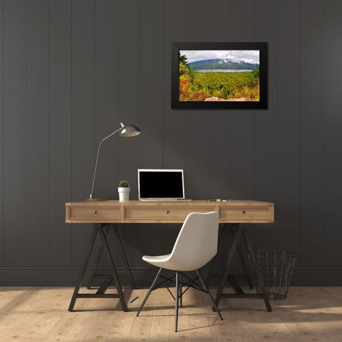 Prentice Overlook Pano Black Modern Wood Framed Art Print by Lee, Rachel