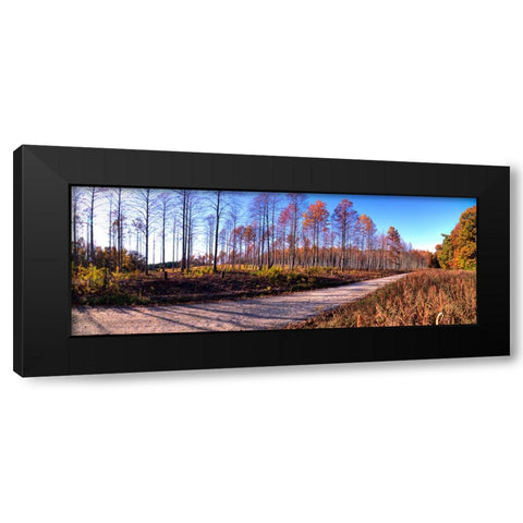 Prentice Road Pano Black Modern Wood Framed Art Print by Lee, Rachel