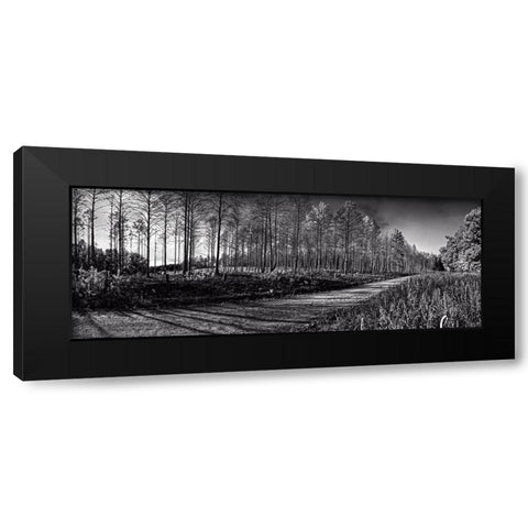 Prentice Road Pano BW Black Modern Wood Framed Art Print with Double Matting by Lee, Rachel