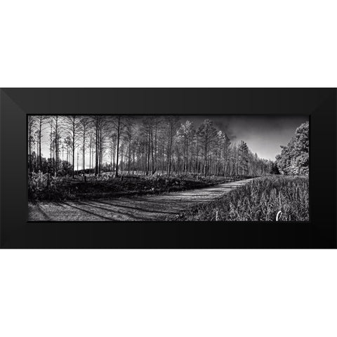 Prentice Road Pano BW Black Modern Wood Framed Art Print by Lee, Rachel