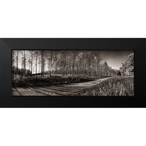 Prentice Road Pano Sepia Black Modern Wood Framed Art Print by Lee, Rachel