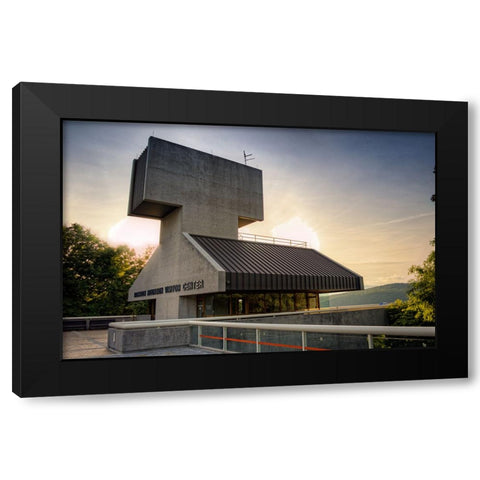 Raccoon Observatory Black Modern Wood Framed Art Print by Lee, Rachel