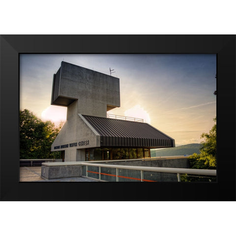 Raccoon Observatory Black Modern Wood Framed Art Print by Lee, Rachel