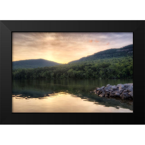 Raccoon Sunset Black Modern Wood Framed Art Print by Lee, Rachel