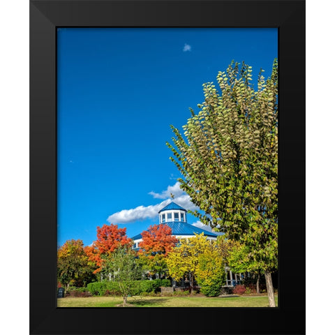 Scenic City 18 Black Modern Wood Framed Art Print by Lee, Rachel
