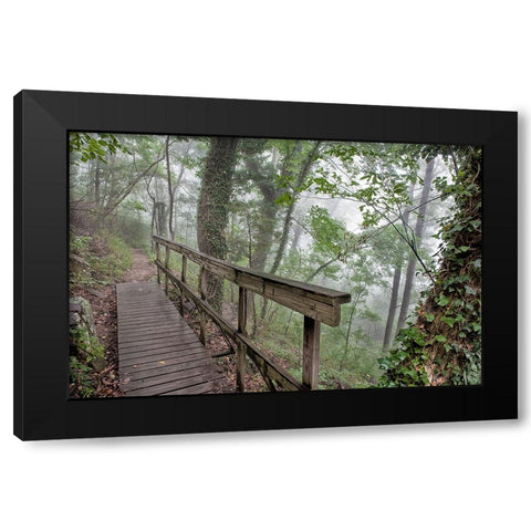 Scenic City 35 Black Modern Wood Framed Art Print with Double Matting by Lee, Rachel